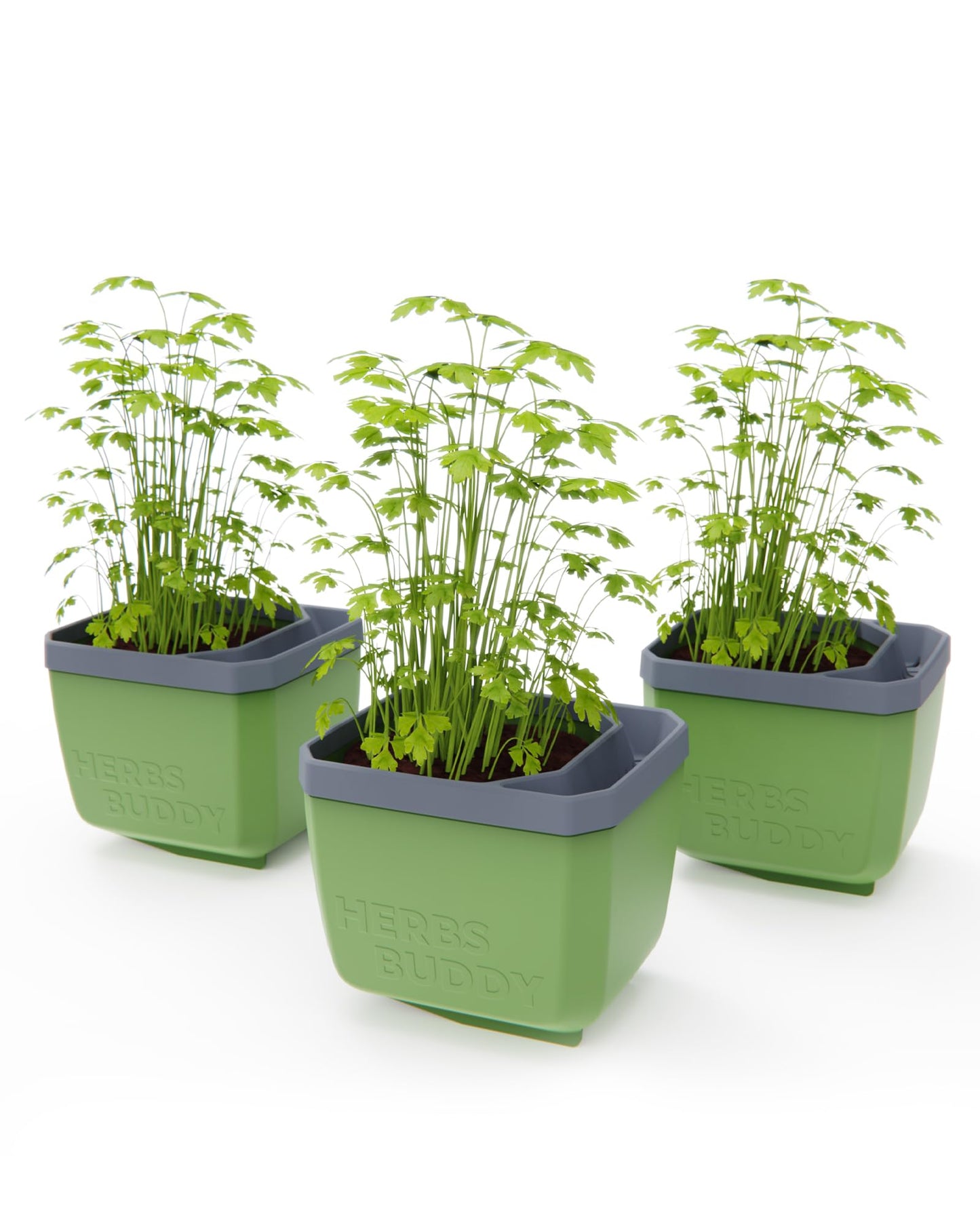 BUZZY Seeds Herb Buddy Self-Watering Herb Planter with Water Level Indicator – Indoor Kitchen & Windowsill Planter (Green)