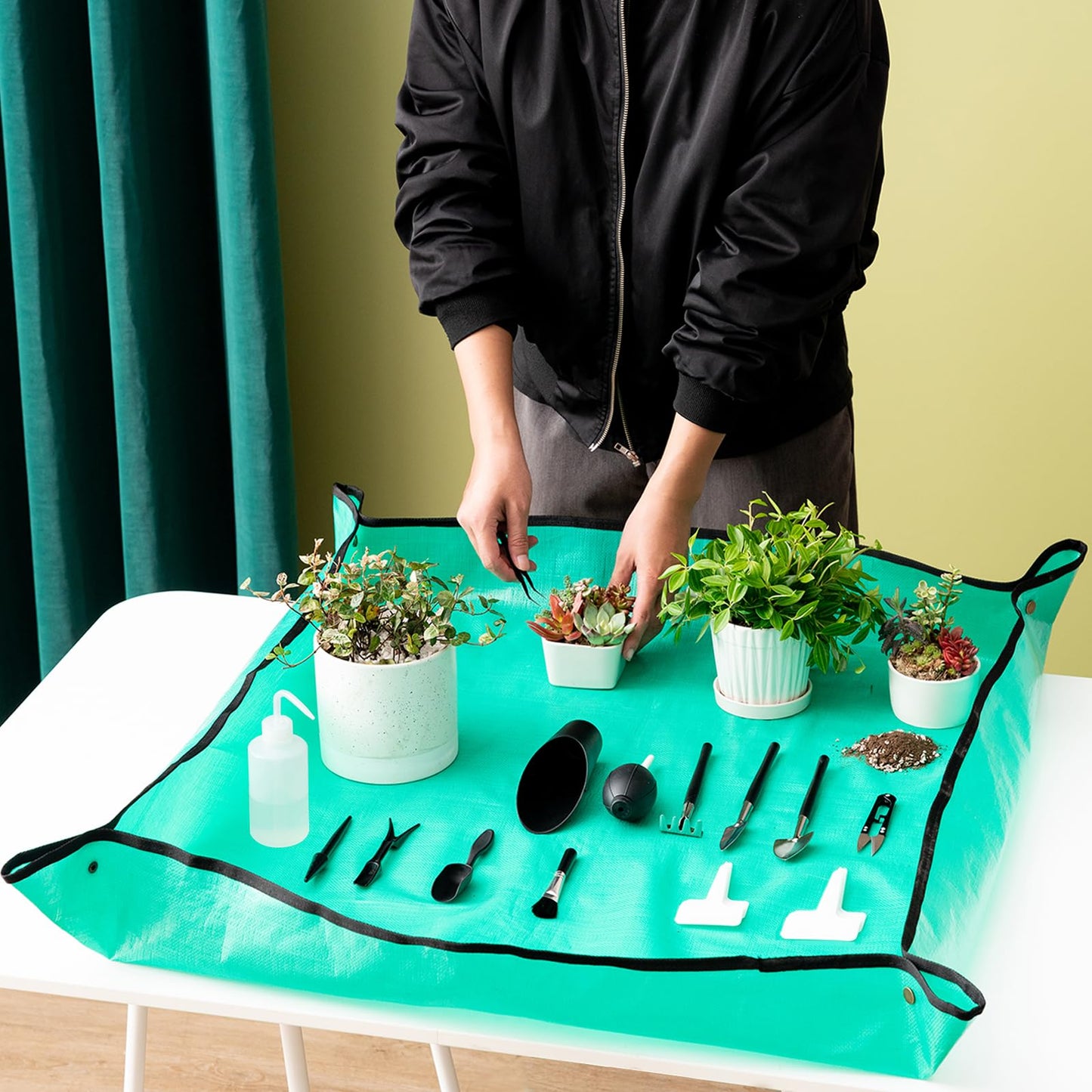 Succulent Tools and Plastic Succulent Pots