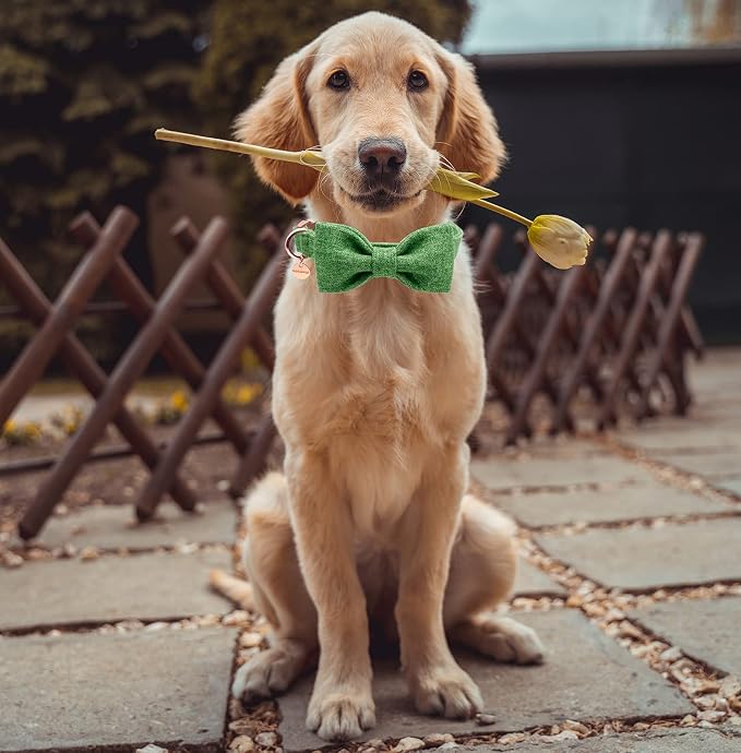 DOGWONG Hemp Cotton Dog Collar with Bow Green Pet Collar Durable Adjustable Puppy Collar for Small Medium Large Dogs