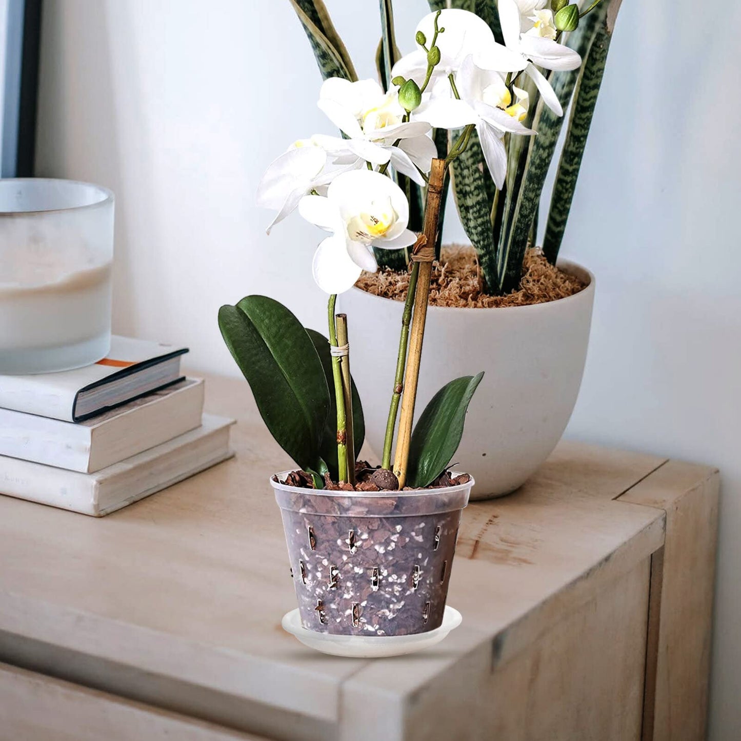 Toddmomy Slotted Orchid Pot with Tray 7.20X7.20X5.94In Clear Plastic Flower Pot for Indoor Gardening and Nursery Plants with Ventilation Holes