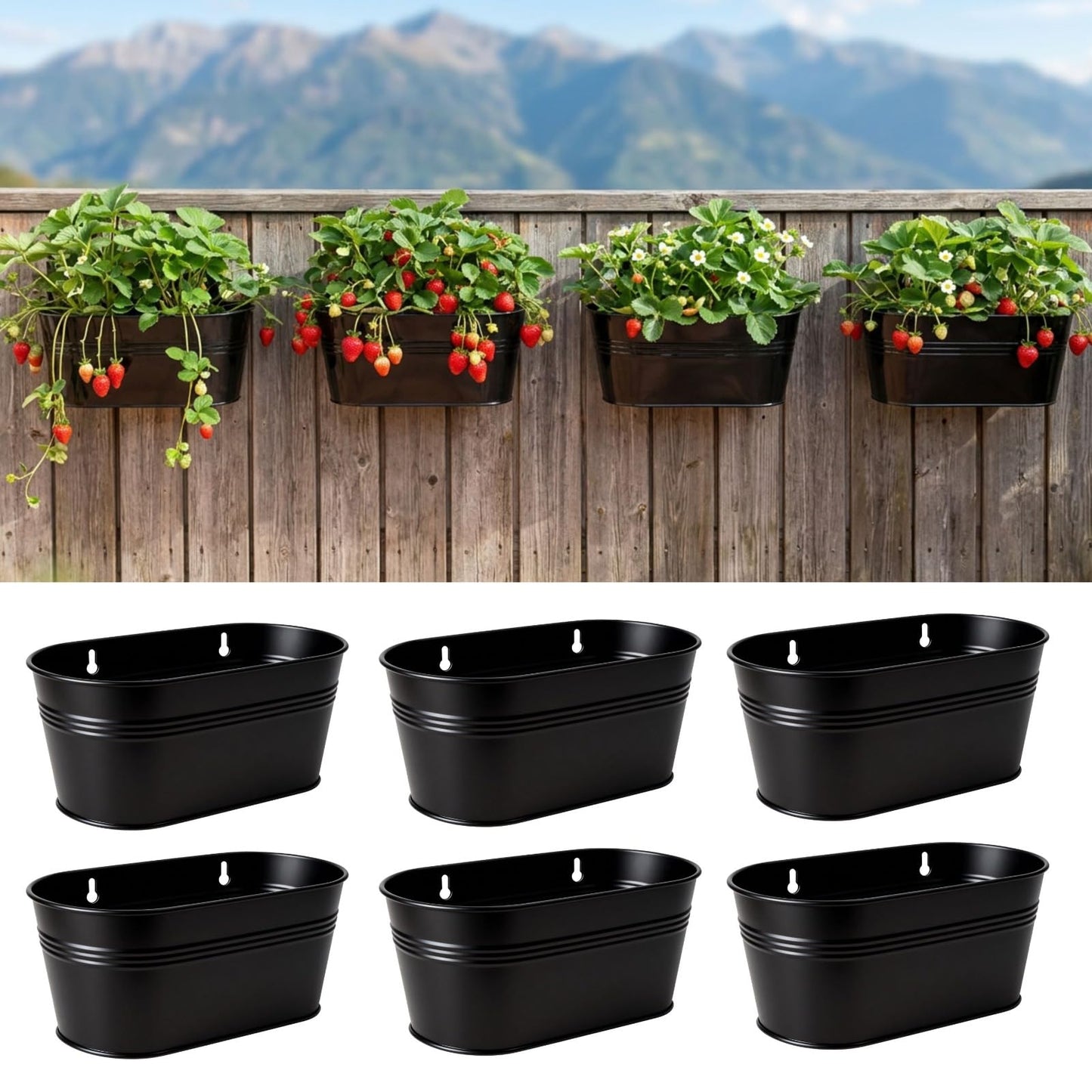 LaLaGreen Wall Planter (11.8 Inch, 6 Pack) Black Oval Metal Wall Hanging Decor Plant Holder for Mounted Indoor Flower Pots Balcony Railing Fence Window Decoration Porch Plants Pot Baskets Planters