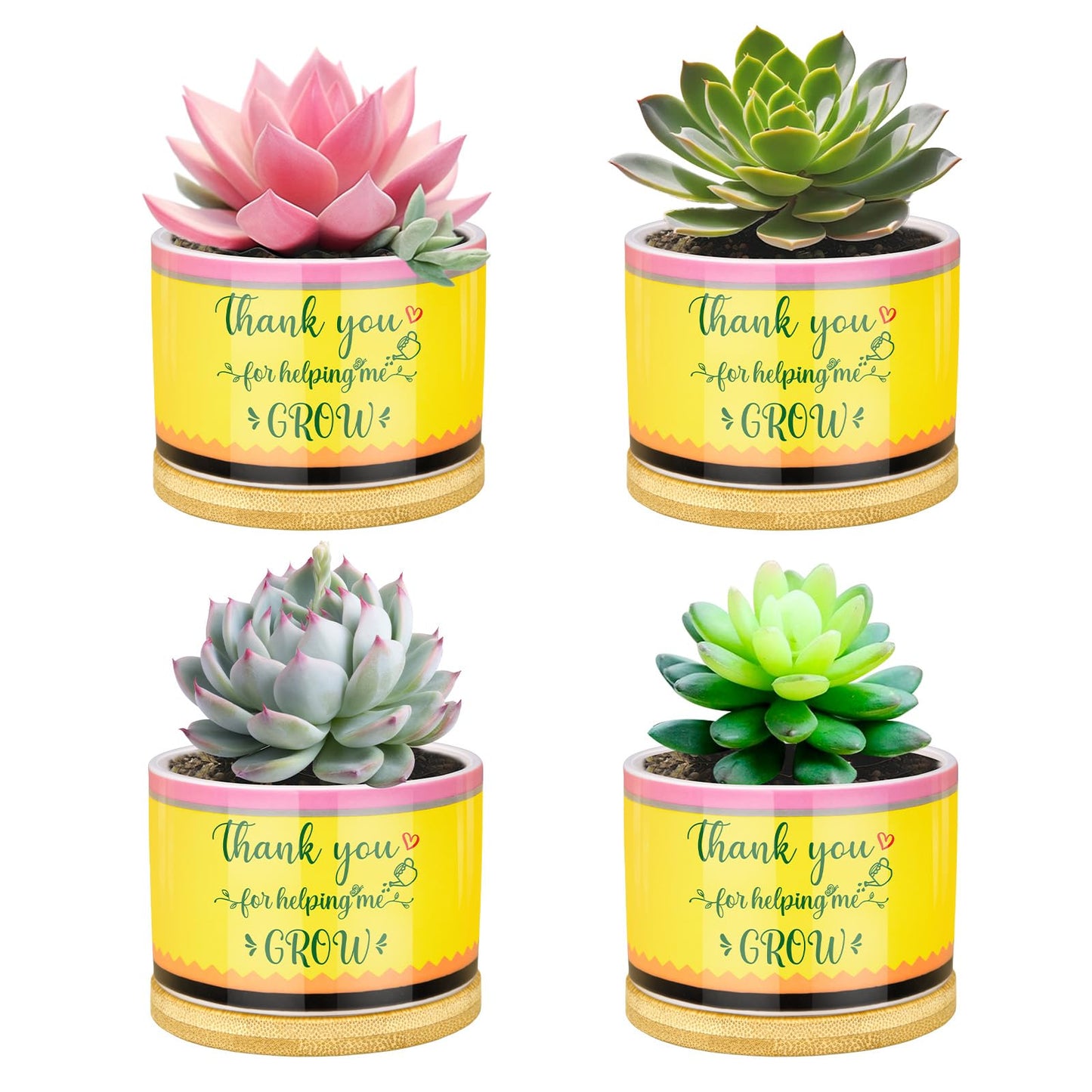 Moonld 4 Pcs Teacher Appreciation Gifts Succulent Pots Mini Ceramic Plant Pot for Teachers Appreciation Gift Exchange Gifts Thank You Teacher Party Favors