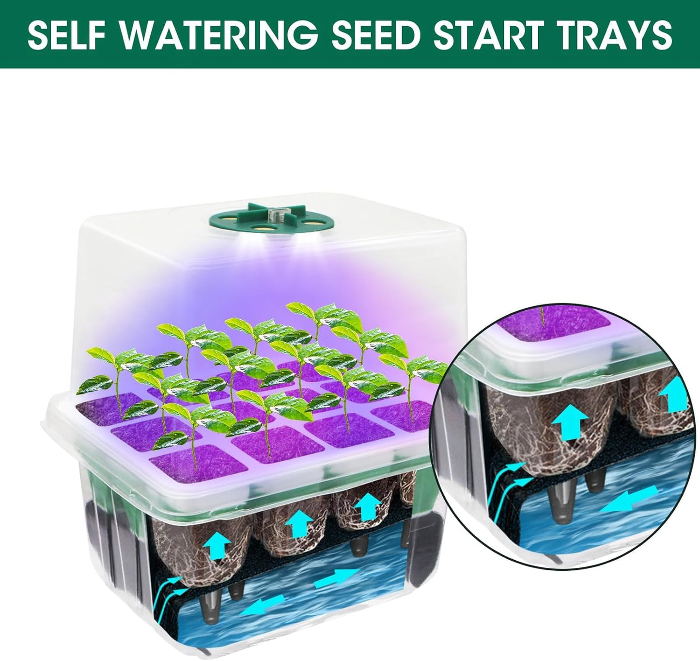 MYMULIKE Seed Starter Tray with Grow Light,5 Pack 60 Cells Seedling Tray Kit Reusable & Dishwasher Safe for Starting Vegetable, Flower & Herb Seeds Indoor Grow Kit for Deep-Rooted Seedlings