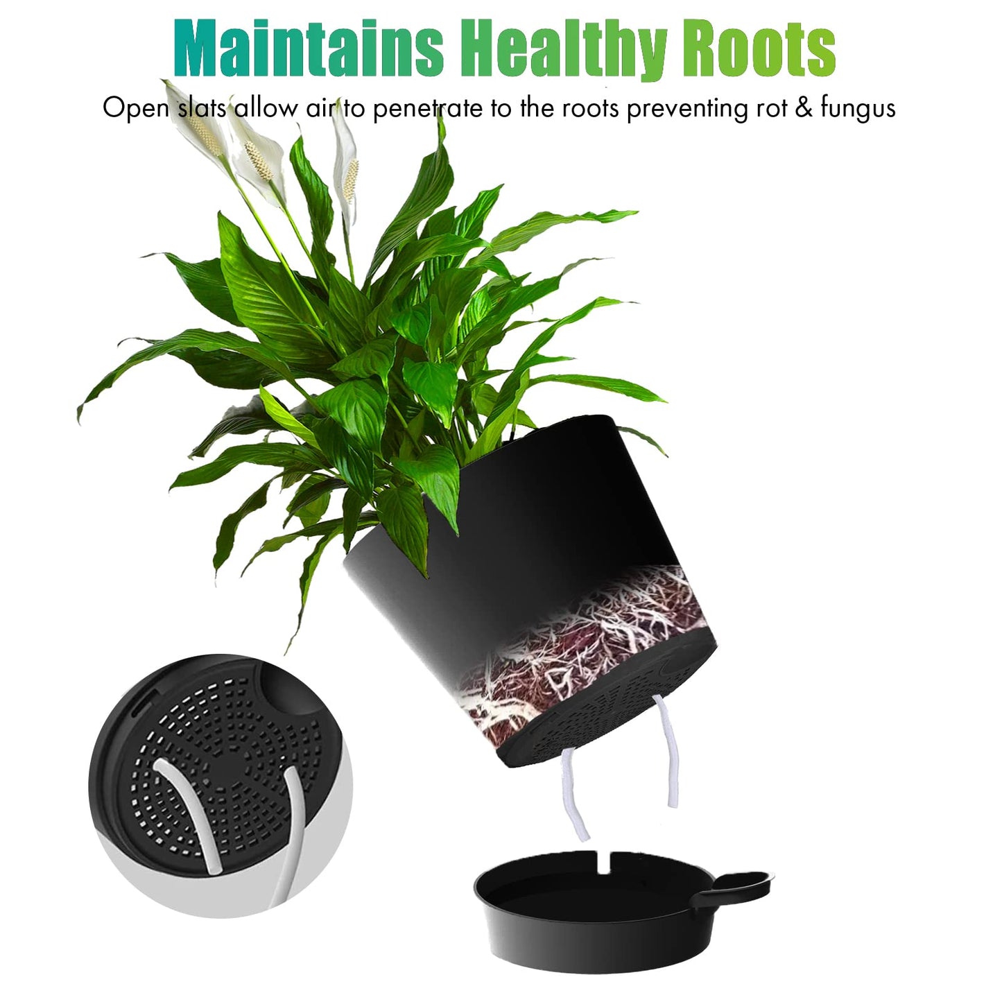 Self Watering Pots for Indoor - 8/7/6.5/6/5.5/5 Inch Self Watering Planters for Indoor Plants with Deep Saucer Reservoir & Drainage Holes Plastic Flower Pots for House Plants or Flower (Black)