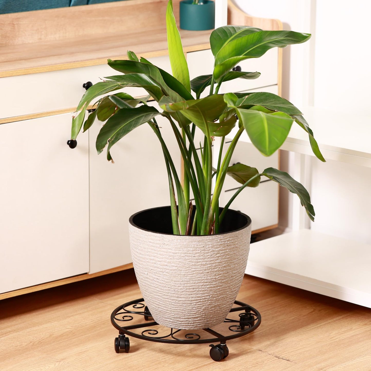 KvyusFlourish 3 Packs 20” Plant Caddy with Wheels Metal Plant Stand on Wheels for Indoor and Outdoor Plants Rolling Plant Stand with Casters Heavy Duty Plant Dolly Roller Caddy, Black