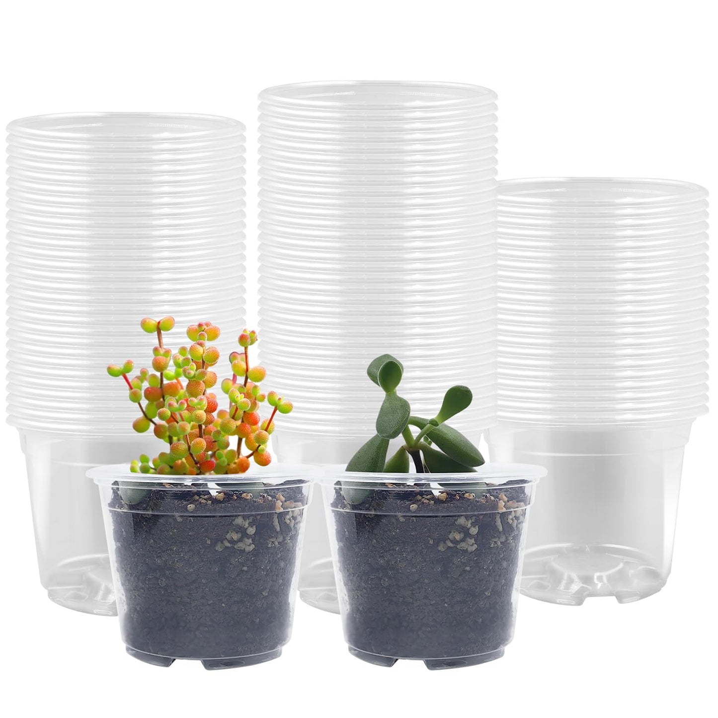 RooTrimmer 100 Pack 2.8 Inches Clear Plant Pots with Drainage Holes, Transparent Seeding Nursey pots, Round Plastic pots for Seeds Starter, Seeds Germination