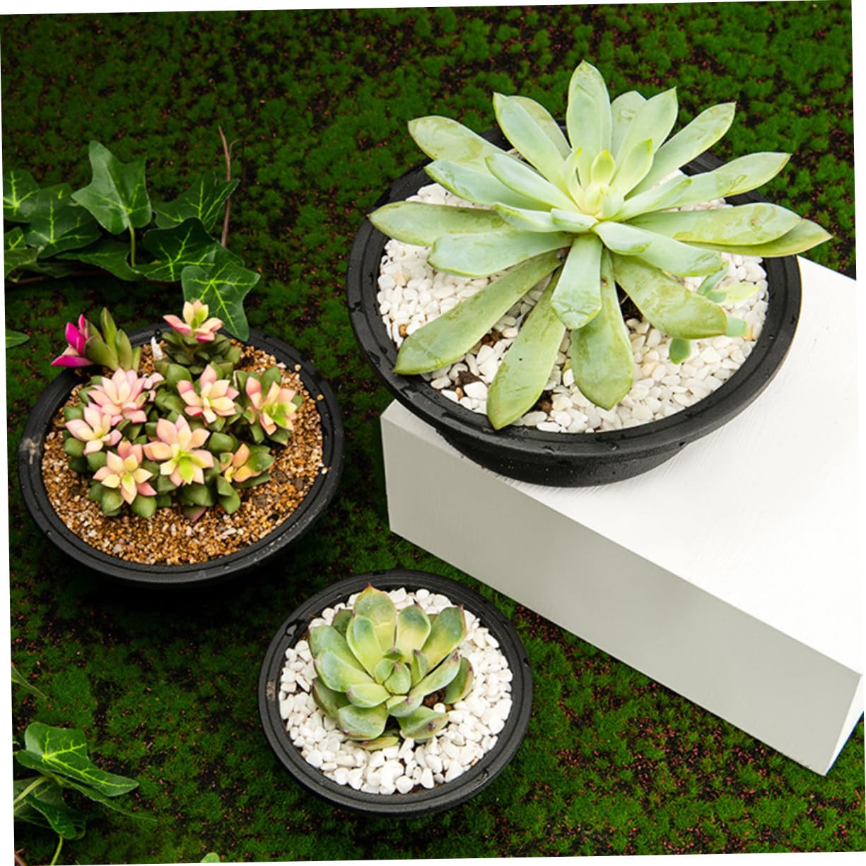 KONTONTY 6.10 Inch Shallow Plastic Succulent Planter Set of 6 Hollow Bottom Lightweight Flower Pots for Indoor Outdoor Gardening and Plant Containers