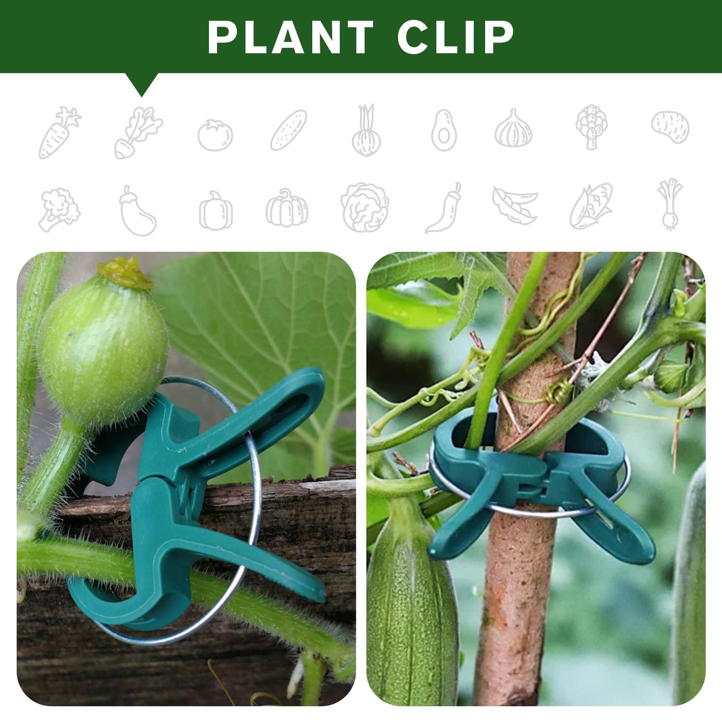 Iniscape A Plant Clamp Used for Climbing Plants,Horticultural Clip Used to Support Climbing of Flower Stems, Vines, Vegetables, and Tomatoes,Vine Clip for Garden Vine Training (Green, 120small)