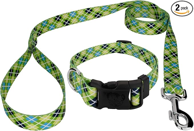 Country Brook Petz - Margarita Argyle Everyday Collar and Leash - Plaid and Argyle Collection Featuring Charming Designs (1 Inch, Medium)