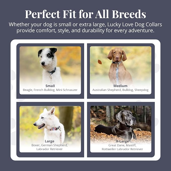 Lucky Love Dog Martingale Dog Collar - Adjustable, No-Slip, Durable, & Soft Webbing Collar for Male and Female Dogs Ideal for Training & Walking - Molly, Medium