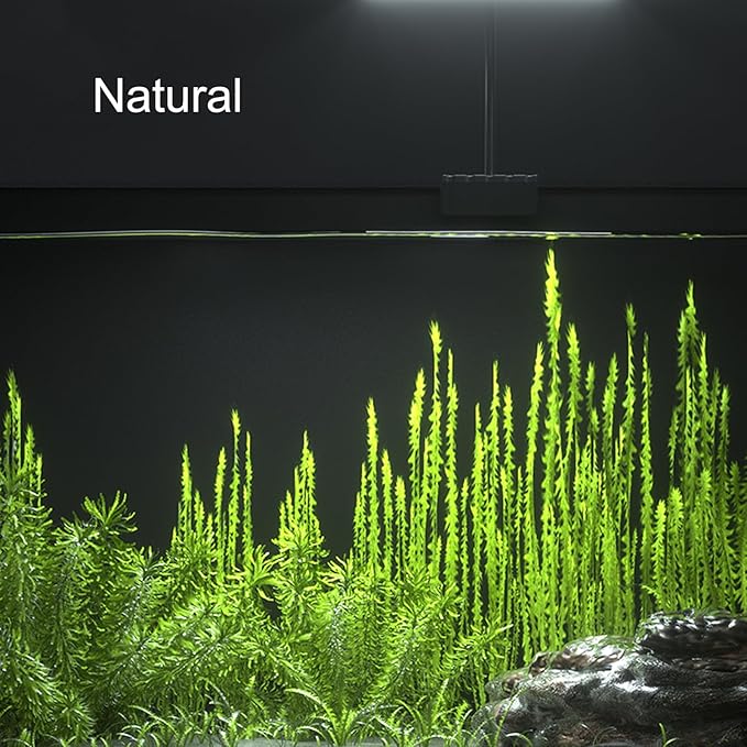 Carefree Fish Aquarium LED Light USB 7W Timer 4/8/12/18 Hours for 1~5Gal Fish Tank (Include UL Certification Power Adapter)