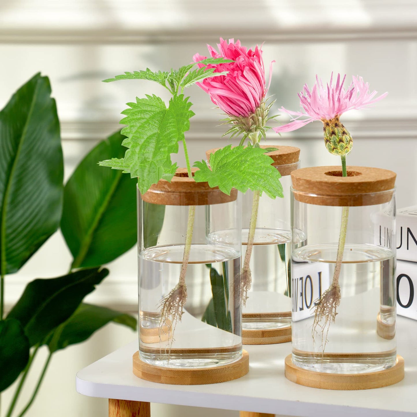 Rtteri 6 Pcs Glass Propagation Stations for Plants, Desktop Flower Vases, Plant Terrarium Desktop Glass Planters with Lid and Wooden Saucer for Home Decoration(2.56 x 4)