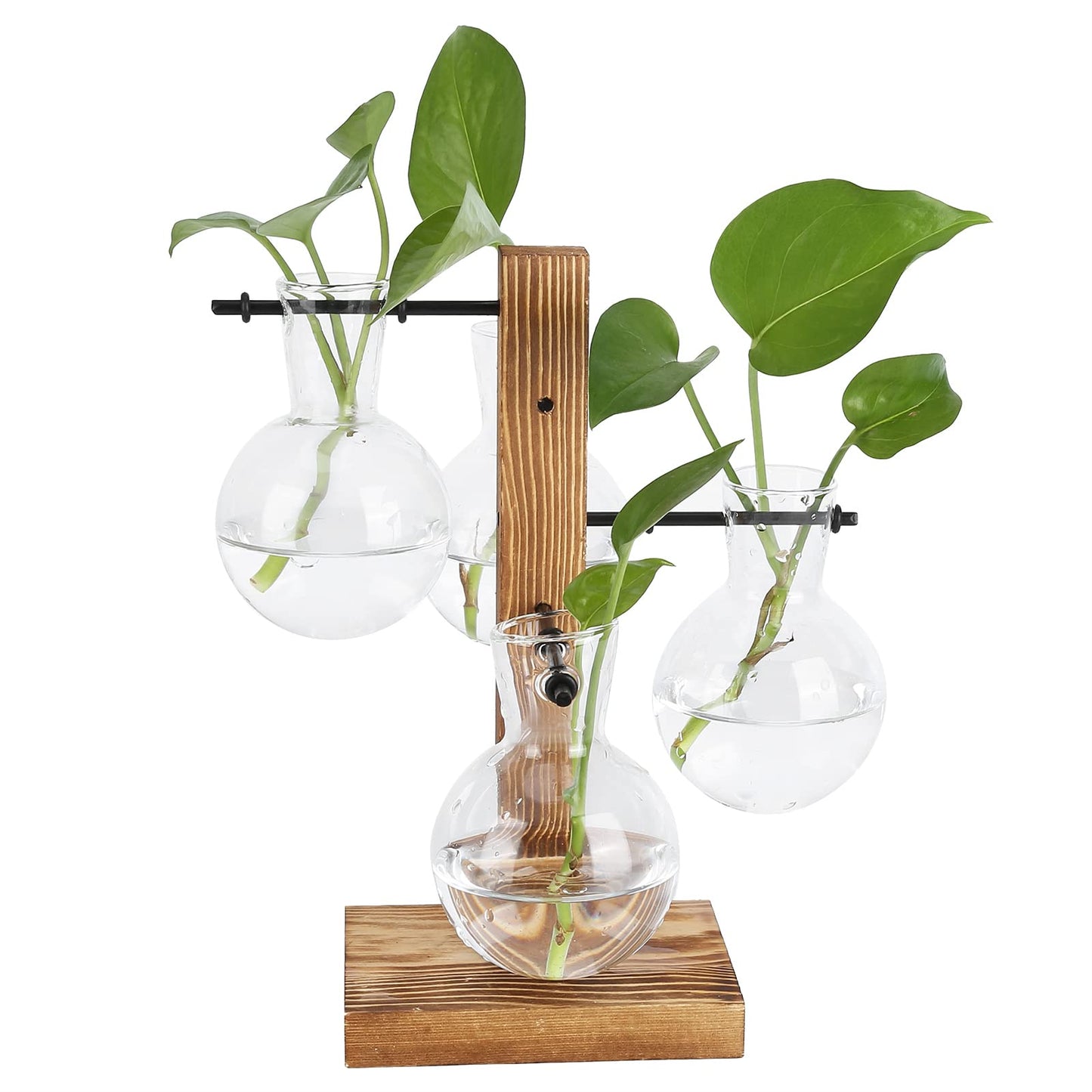 Glass Planter Bulb Vase, Innovative Hydroponic Vase Desktop Plant Terrarium Kit with Wooden Stand Transparent Desktop Flower Vase for Home