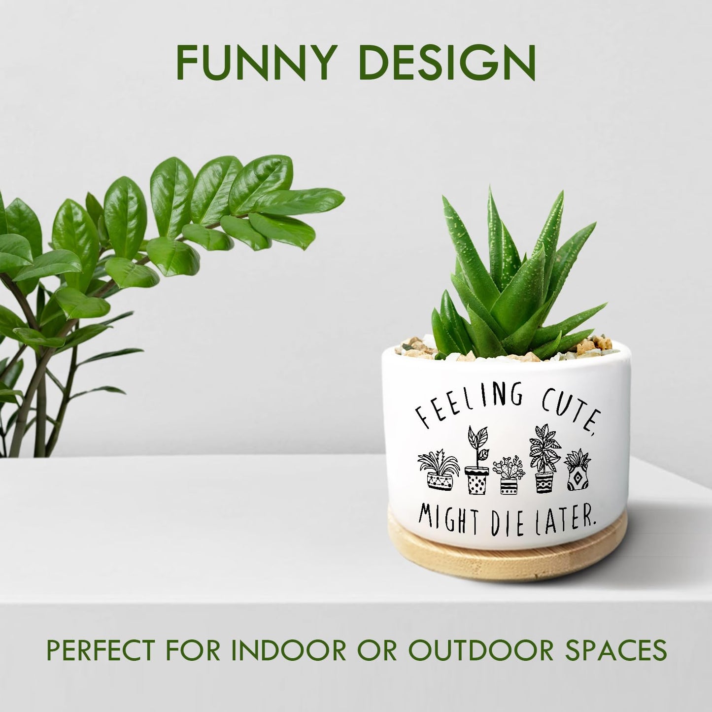 Jutasty Funny Succulent Plant Pot, Small Flower Planter for Indoor Plants, Cute Ceramic Cactus Planter Pots with Drainage, Windowsill Desk Decor Unique Planter Gift, Feeling Cute (No Plants)