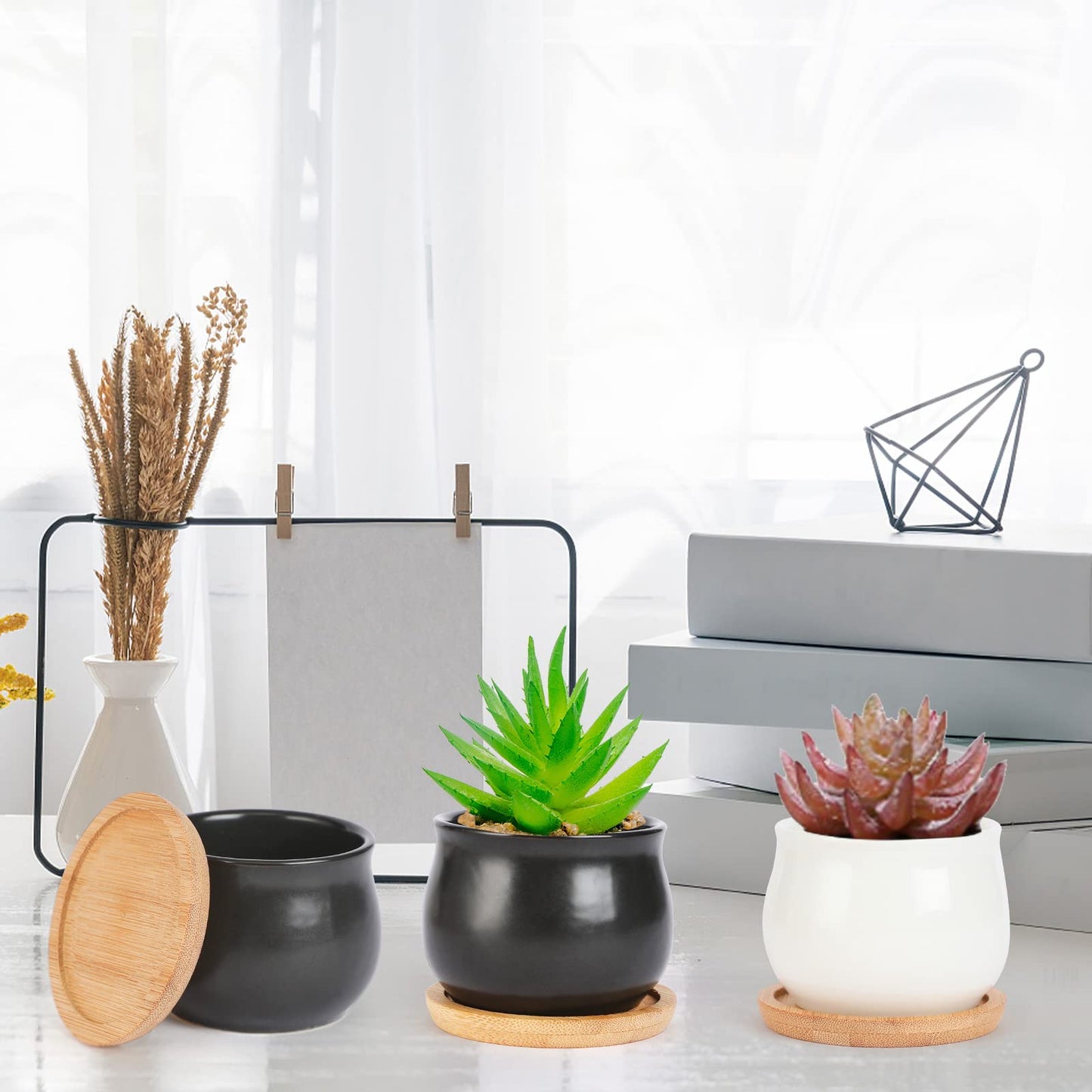 SHECIPIN 12 Pack Succulent Plant Pot, Mini 2.6 inch Ceramic Flower Planter Pot with Bamboo Tray, Small Pots for Plants, Plants Not Included （White, Black）