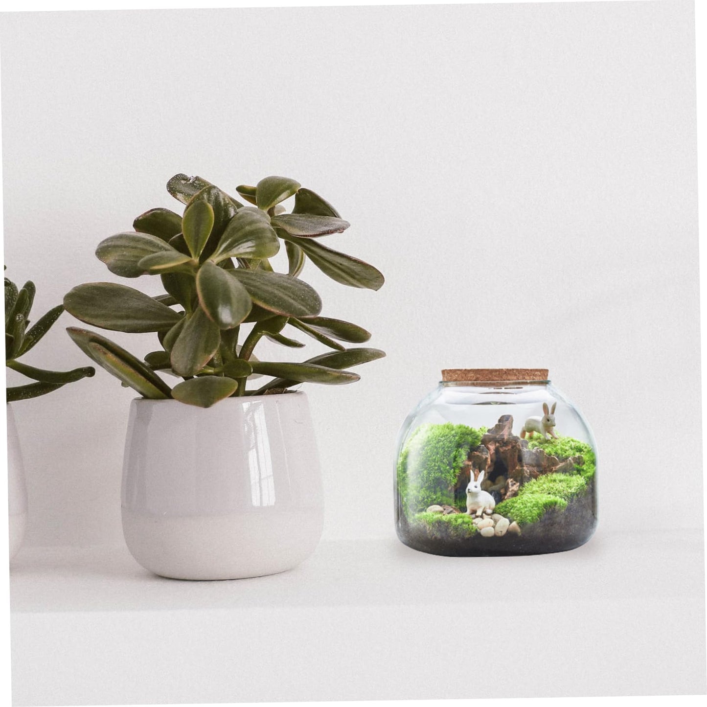 HYTROVE Micro Landscape Bottle Terrarium for Plants Creative DIY Desk Decor Simple Glass Ecological Bottle Lid for Indoor Gardening and Home Decoration