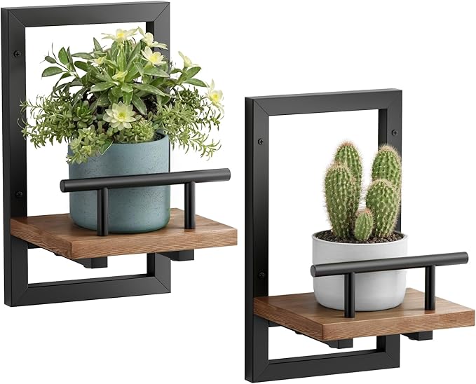 Sbosbo Floating Shelves for Wall, Plant Shelf Indoor, Wall Planters for Indoor