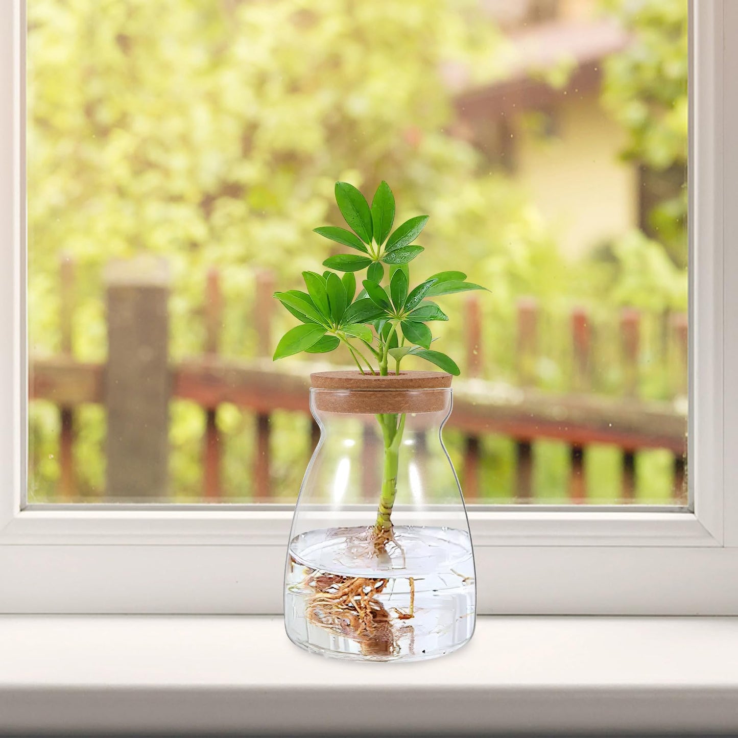 CONGARTENO Glass Flower Vase Hydroponic Succulent Planter Large Trapezoid Glass Vase with Wooden Stopper 3cm Hole for Indoor Plant Terrarium and Floral Arrangement