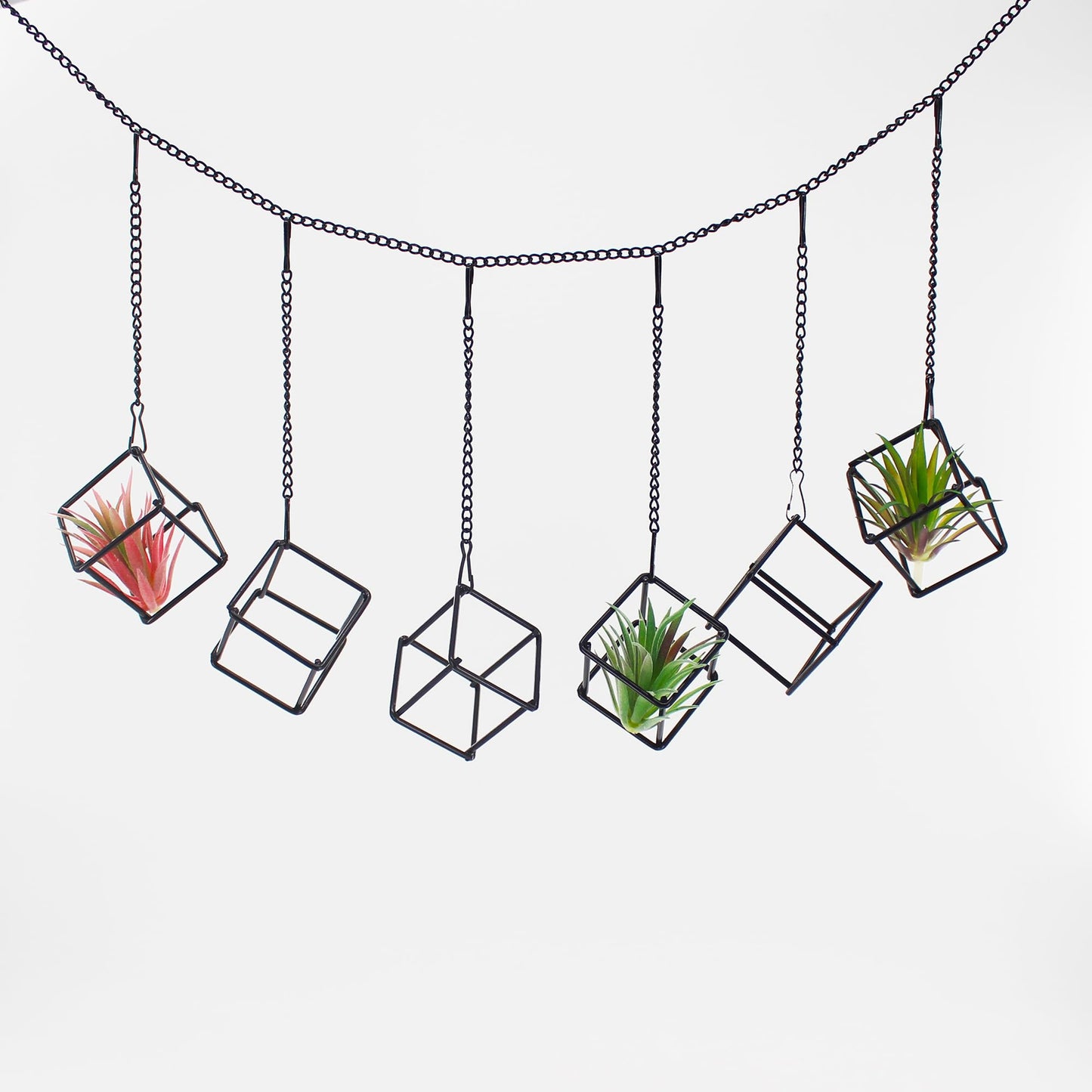 6 Pack Metal Hanging Air Plant Holders - Geometric Black Cube Tillandsia Hangers with Long Chains, Wall or Ceiling Mount for Small Air Plants, Home & Office Boho Decor (Individual or Combined Use)