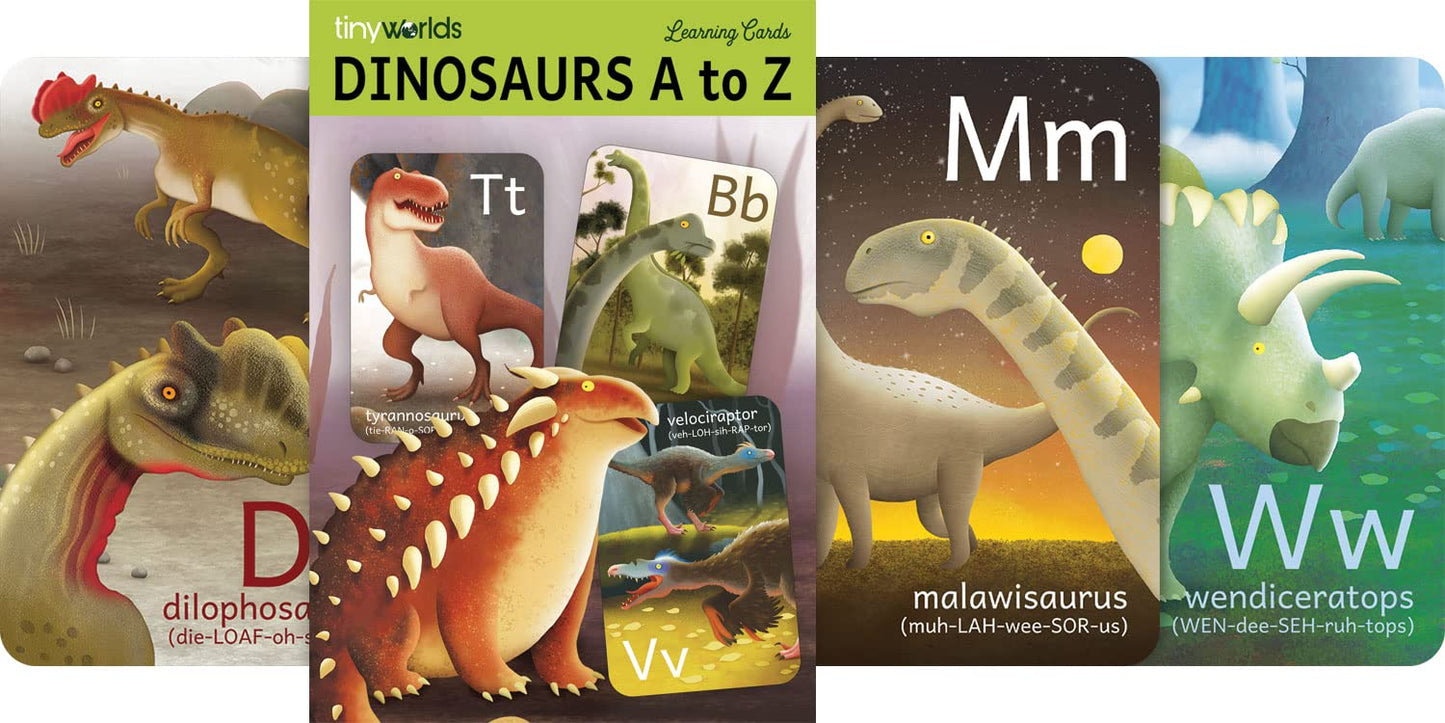 Tiny Worlds: Dinosaur ABC Flash Cards, Alphabet A to Z Dinosaurs flashcards for Kids 4-8 Years, Dinos Picture Learning Cards, Dino Flash Card for Pre-K, Children: Set of 26 FlashCards