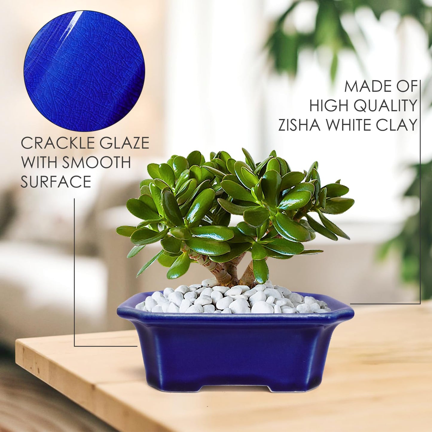 Set of 2 Zisha White Clay Bonsai Pot Glazed Shallow Succulent Planter Blue