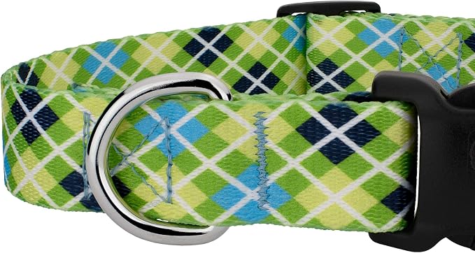 Country Brook Petz - Margarita Argyle Everyday Collar and Leash - Plaid and Argyle Collection Featuring Charming Designs (5/8 Inch, Small)