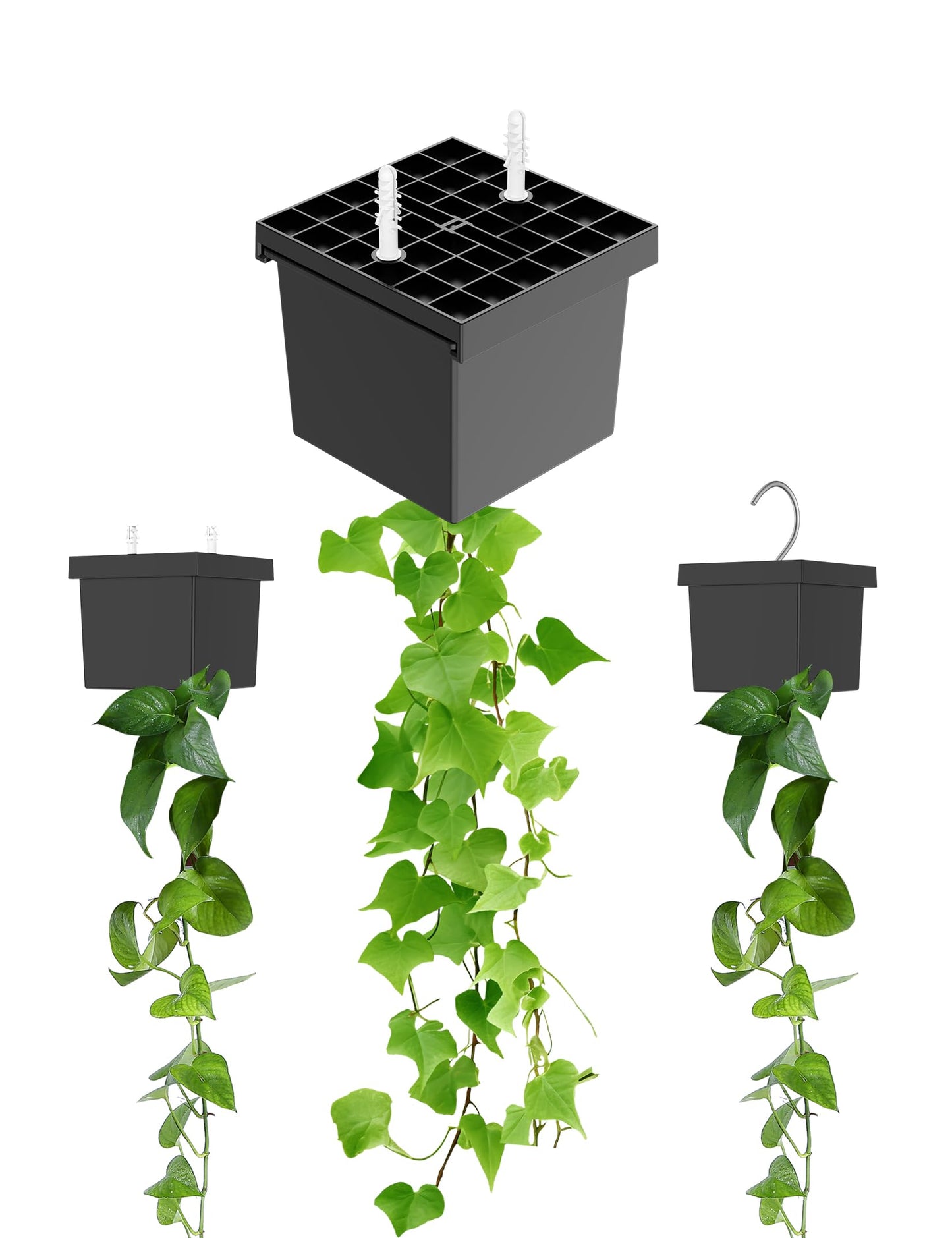 TYAMTOGSM Wall Hanging Planters for Living Vines or Artificial Vines, Wall Mounted Plant Holder Fits for Ceiling wall Mount or Wall Hook Mount Wall Planters for Indoor Plants (Black)