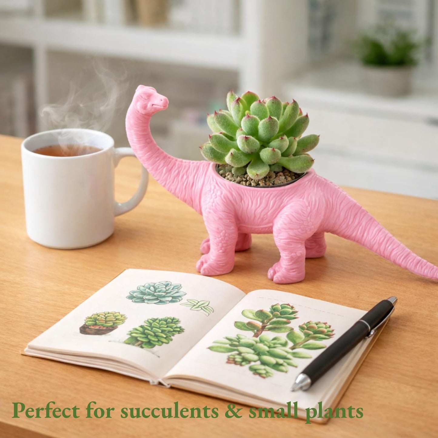 AUNMAS Dinosaur Planter Pot, Small Decorative Flower Pot for Indoor Plants, Cute Desktop Decor for Home Office, Holder (Pink)