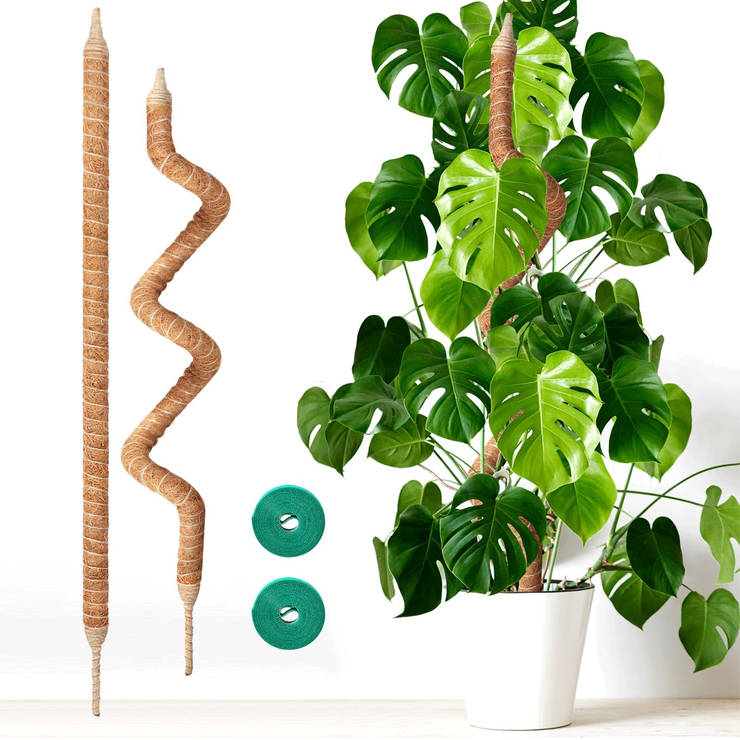 Vanut 2-Pack 60in Large Moss Pole for Monstera, Bendable & Sturdy Pothos Plant Climber Support, Philodendron, Fishbone Cactus & Indoor Tropical Houseplants, Made for Coco Coir