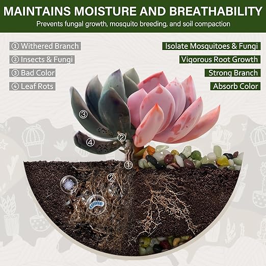 NUPICK 3 lbs Pebbles for Indoor Plants, 3/8 Inch Pea Gravel for Fish Tank, Polished Decorative Rocks for Succulent, Natural River Stones for Vases, Cactus, Landscaping, Bird Bath, Aquarium, Colorful