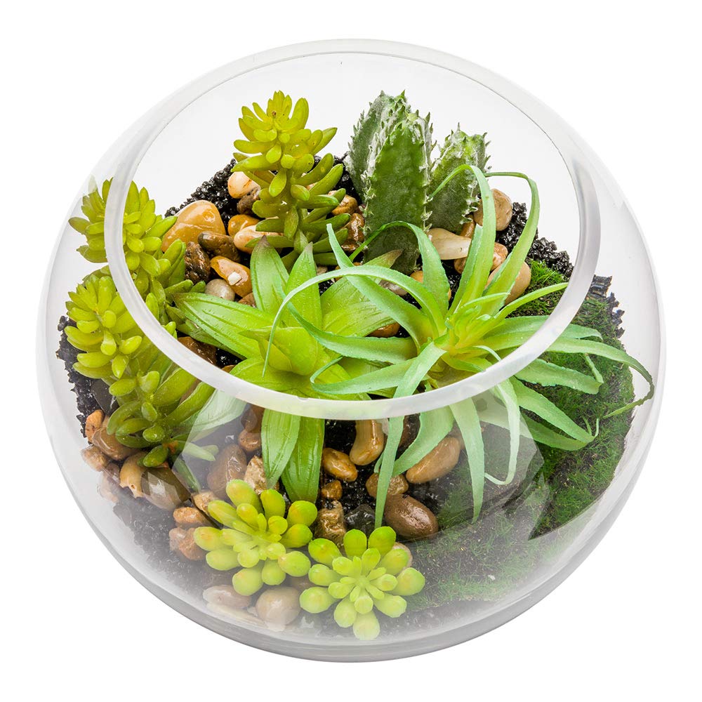 Restaurantware-7 x 5.5 Inch Faux Succulent, 1 Artificial Succulent - In Fishbowl Glass Terrarium, Use As Table Or Shelf Decor, Centerpiece, Plastic Fake Desk Plant, For Homes Or Weddings
