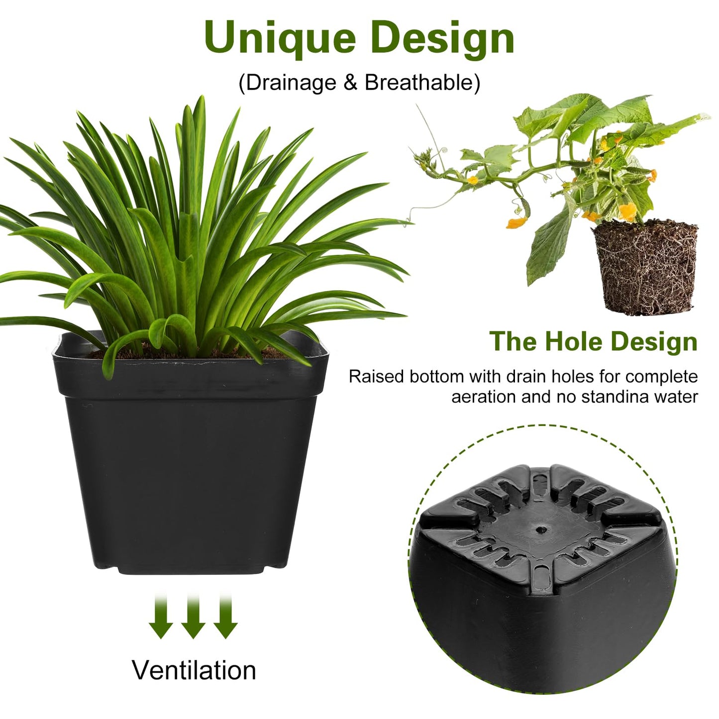 Ubamdom 36 Pcs Nursery Pots 4 Inch, Plastic Seed Starting Pot with Drainage Holes, Sturdy Seedling pots for Planting, Succulents, Transplanting, Cuttings (Black)