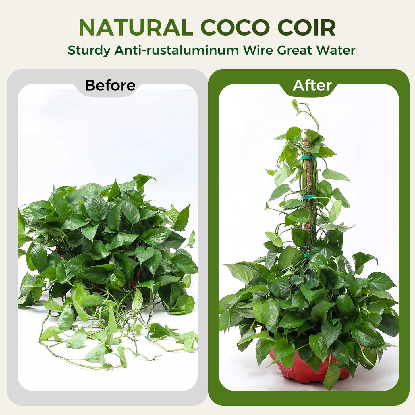 4 Pack Moss Pole Monstera Plant Support, 2 Pack 28" & 2 Pack 48" Bendable Plant Stakes Made of Real Coco Coir Support for Climbing Indoor Plants, Tall Moss Stick Trellis for Potted Climbers
