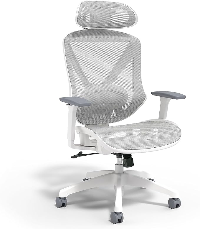 STAPLES Ergonomic Task Chair, Lumbar Support