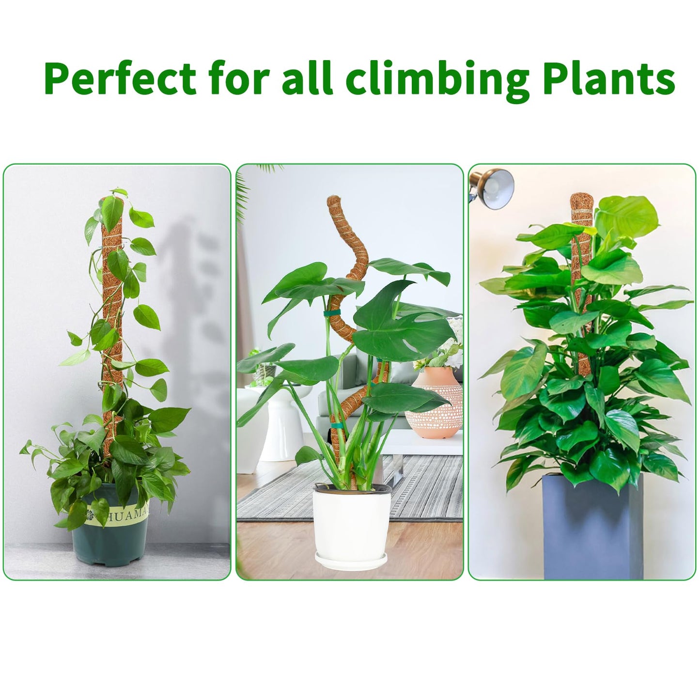 Dimpoo 2 Pack 60 Inch Moss Pole Monstera Plant Support, Coir Moss Poles for Climbing Indoor Plants, Bendable Plant Stake Trellis for Potted Plant, Pothos, Philodendron