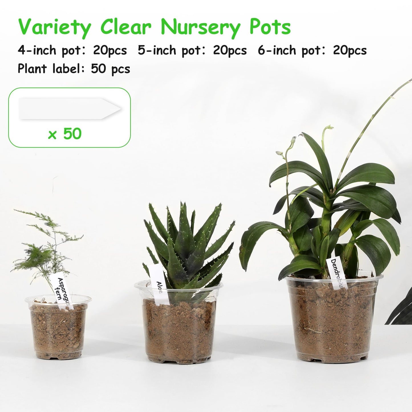 Hemikaki 60 Pack 4/5/6 Inch Clear Nursery Pots with Drainage Holes, Transparent Plastic Plant Pots, Reinforced Seed Starter Flower Pots, Comes with 50pcs Plant Labels