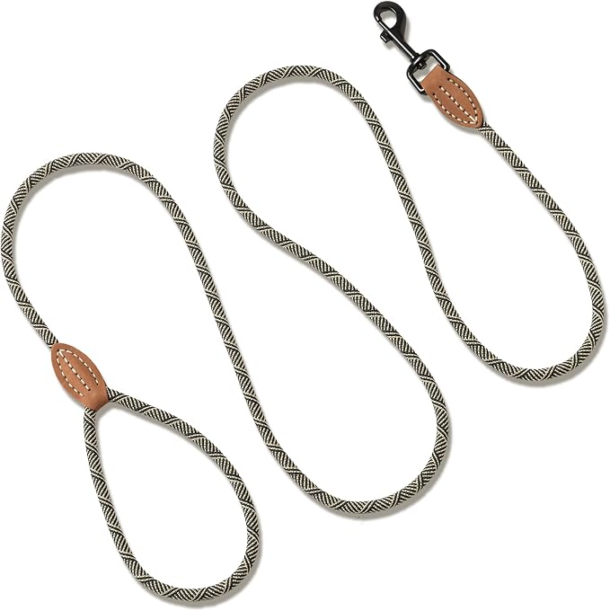 Mile High Life Small Dog Leash, Thin Rope Leash with Genuine Leather Connection and Heavy Duty Metal Clasp, Great for Small Medium Dogs(White,60 Inch-1/3)