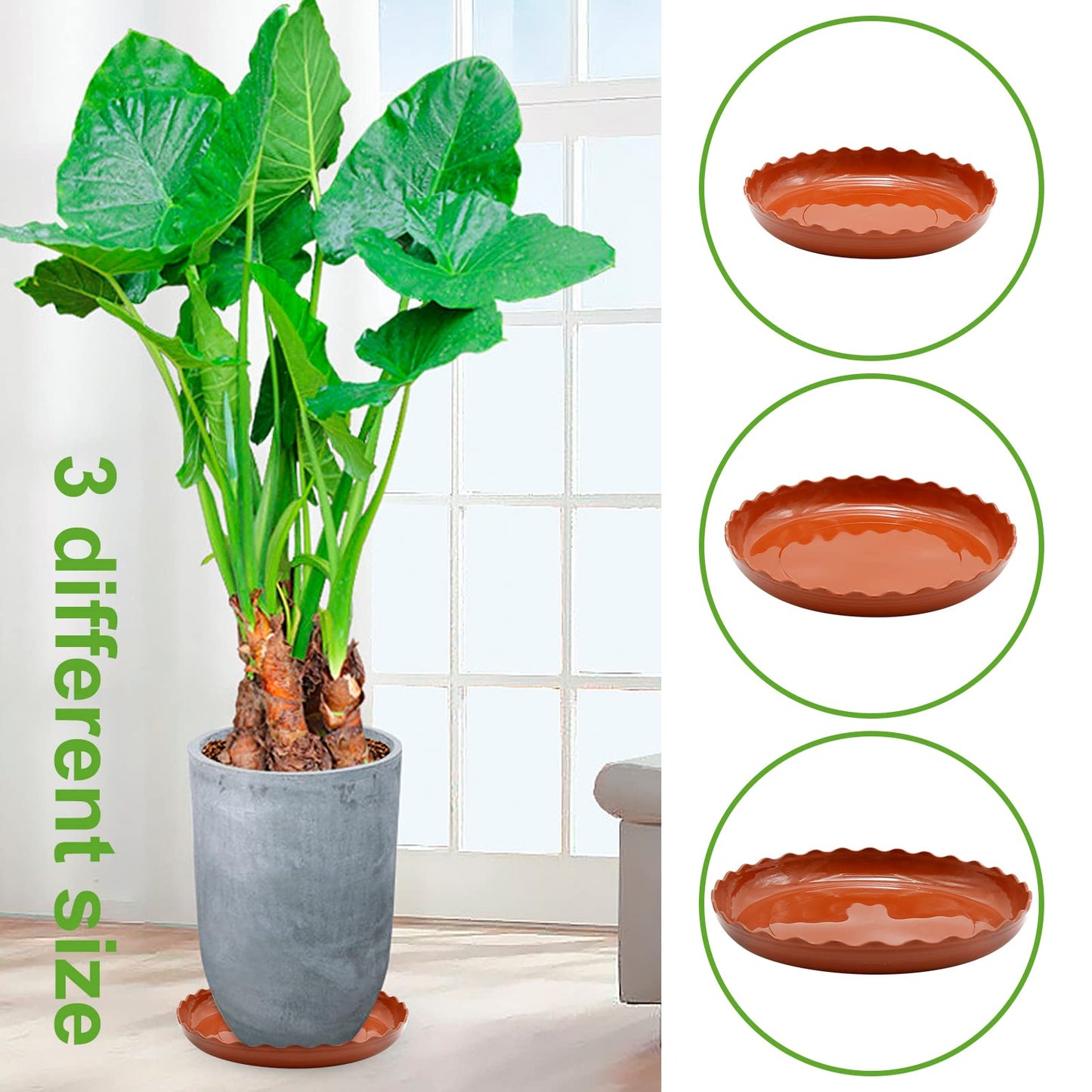 Aynaxcol 12 Pack White Plant Trays 3 Sizes Plastic Round Wave Plant Saucer Flower Plant Pot Saucer Terracotta Drip Trays for Indoor Outdoor Flower Pots and Planters, with 20pcs Green Plant Labels