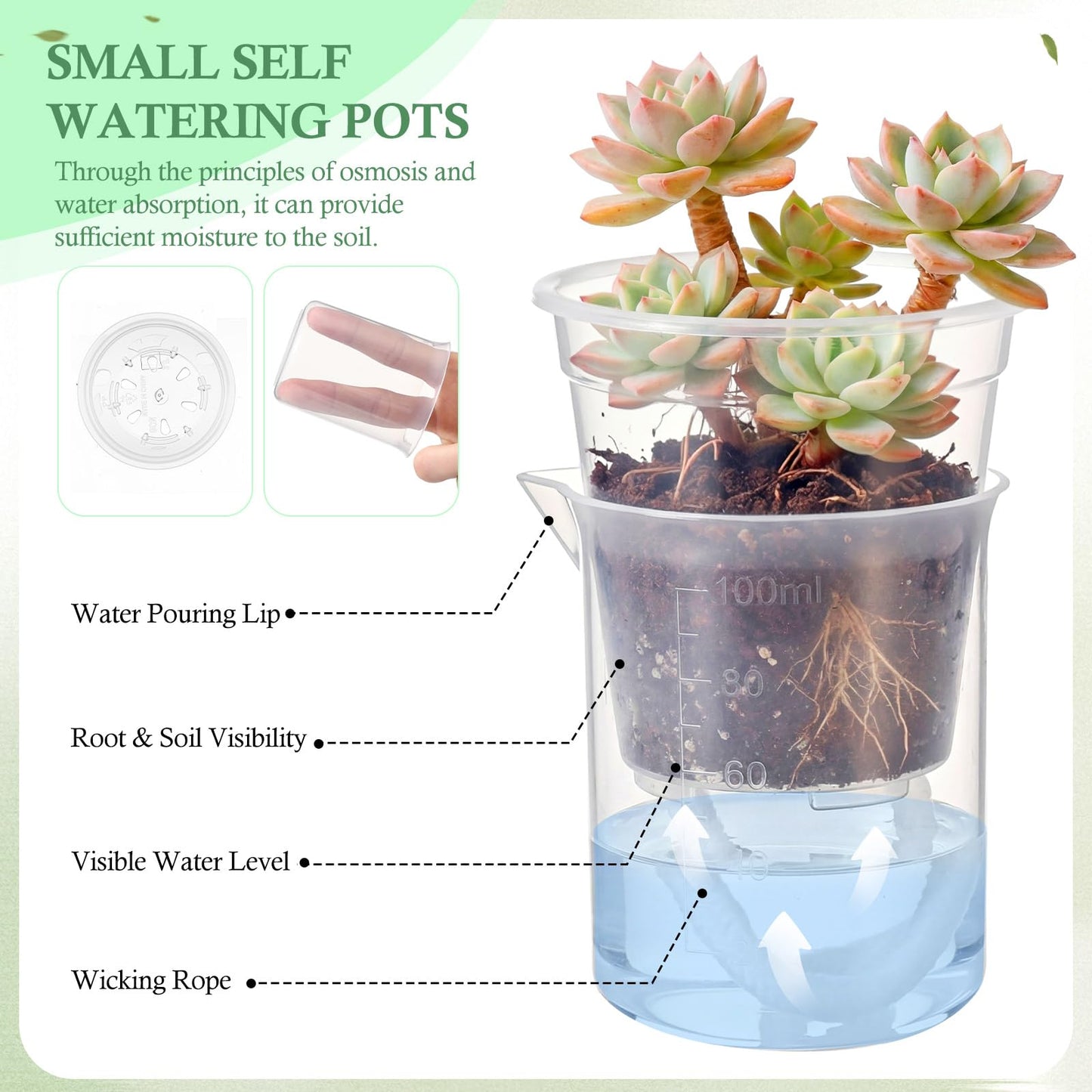 Ferrochef 30 Pcak 2.2'' Small Self Watering Planters for Indoor Plants Mini Clear Pots with Water Level Indicator Plastic Automatic-Watering Pot with Drainage Holes for Semi-hydroponic African Violet
