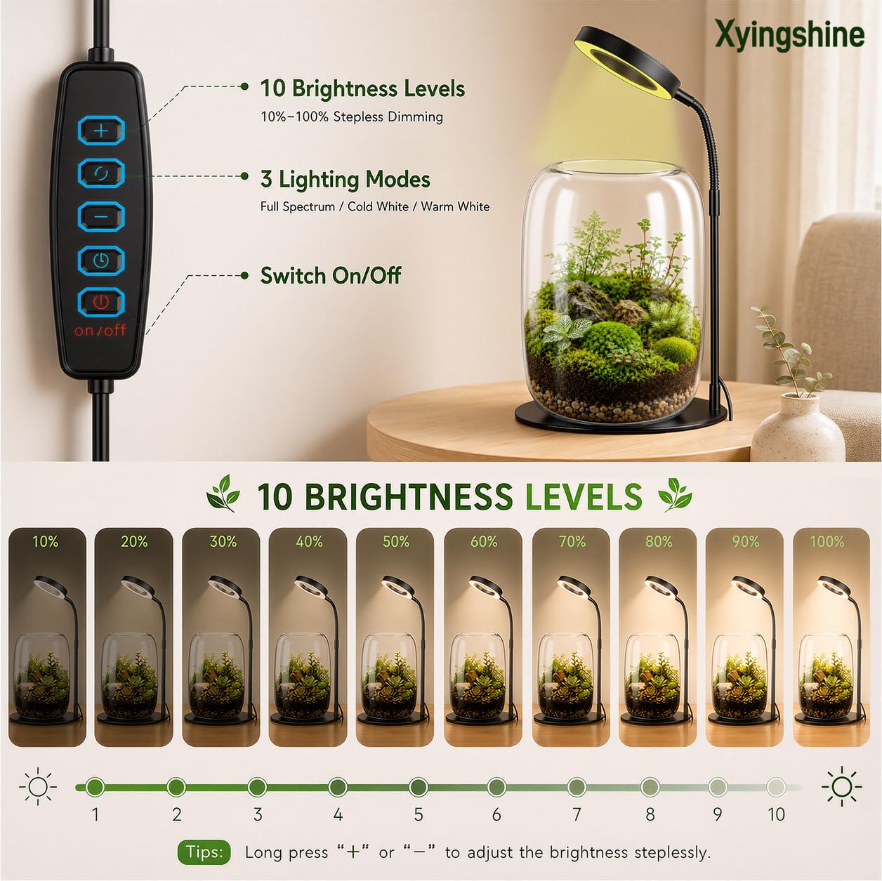 5X Aperture Glass Terrarium Grow Light with Full Spectrum LED for Indoor Plants, Mini Desk Plant Growing Lamp for Succulents & Moss, 3 Modes, 10 Brightness Levels, Height Adjustable