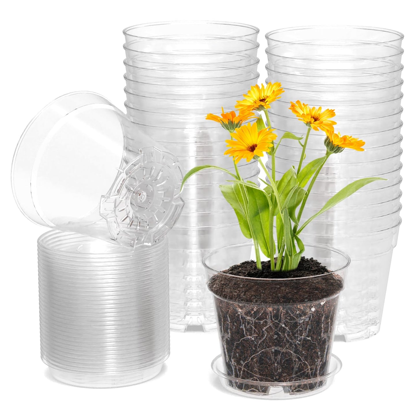 WSMKSZ 4 Inch Clear Nursery Pots, Set of 30 Transparent Plant Flower Pots for Small Indoor Plants with Drainage Holes & Trays, Plastic Seedling Starter Pots for Various Plants