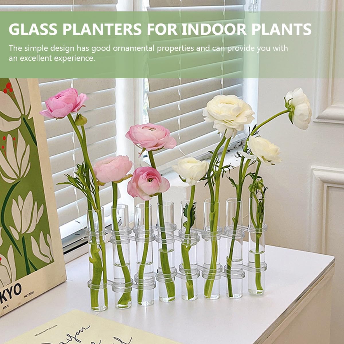 BESPORTBLE Test Tube Glass Vases for Flowers 8pcs Large Hydroponic Plant Terrariums with Brush Home Décor Propagation Station for Living Room Desk