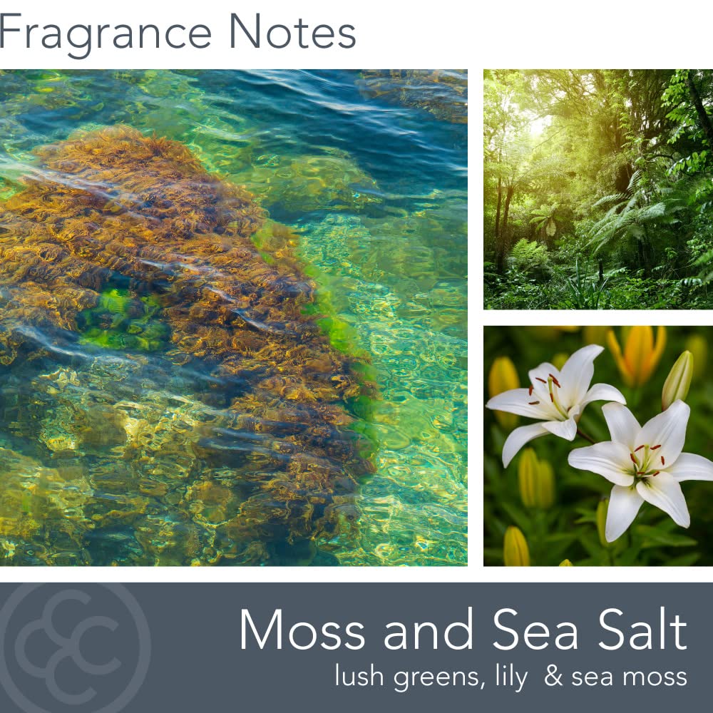Carolina Moss & Sea Salt Scented Candle, 16 oz Wellness Relaxing Aromatherapy Candle, 2 Wick White Jar Soy Blend Wax, Candles for Home, 60H Burn - Made in The USA