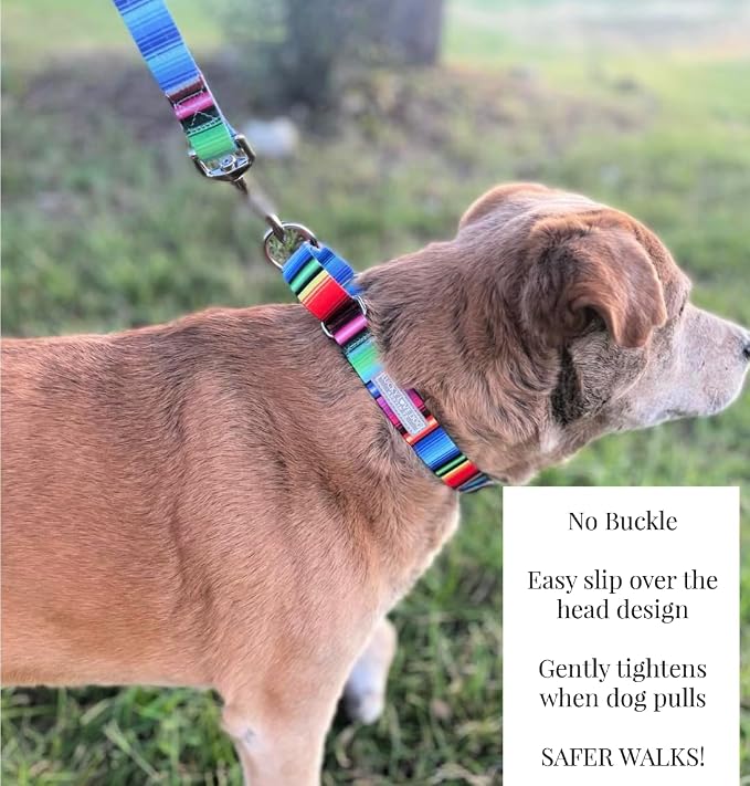 Lucky Love Dog Martingale Dog Collar - Adjustable, No-Slip, Durable, & Soft Webbing Collar for Male and Female Dogs Ideal for Training & Walking - Nacho, Small