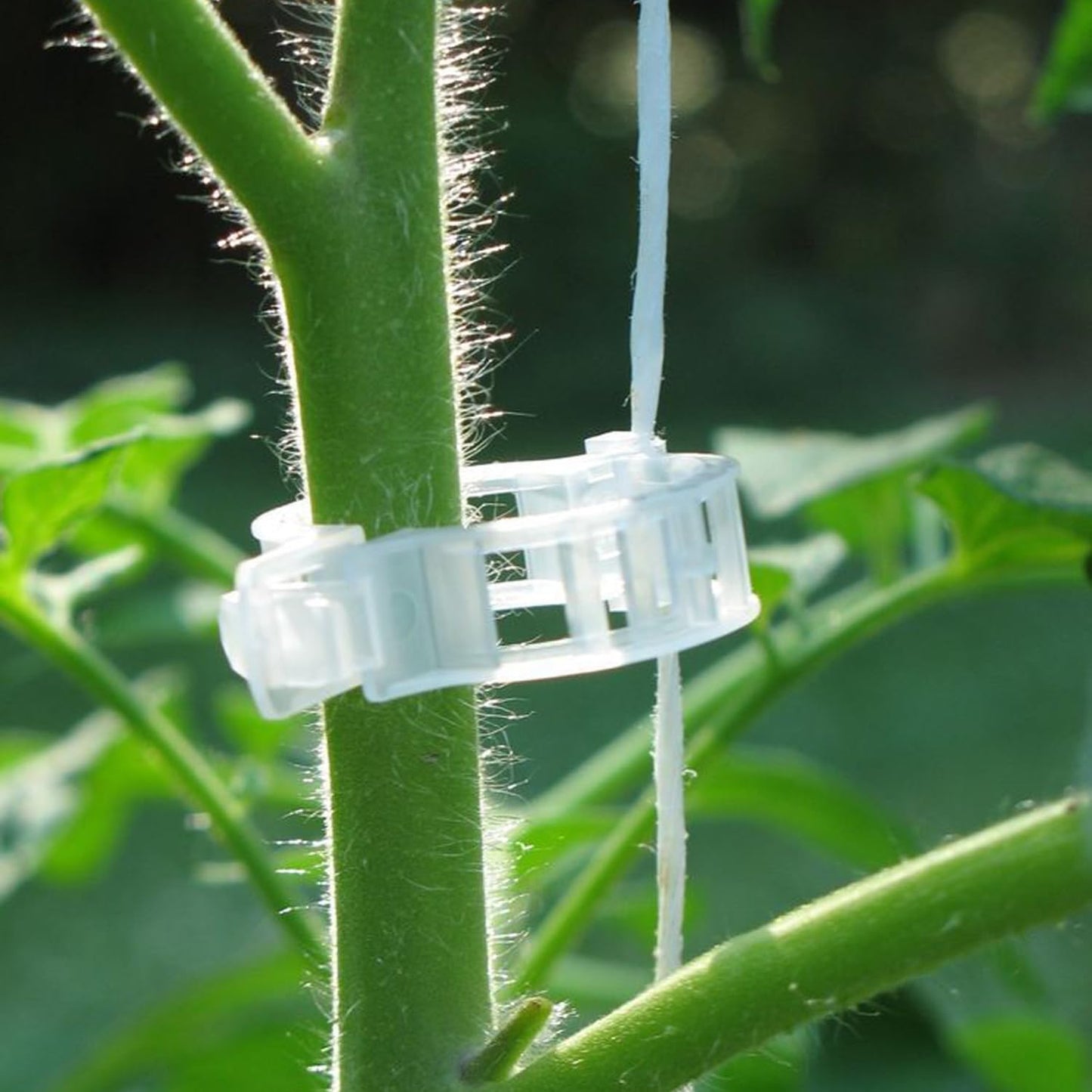 Bandelt 20pcs Tomato Support Hooks with 100pcs Tomato Clips, Tomato Climbing Hooks with 39ft Twine to Prevent Tomatoes from Pinching or Falling Off for Plant Vegetable Plant Fruit Flower