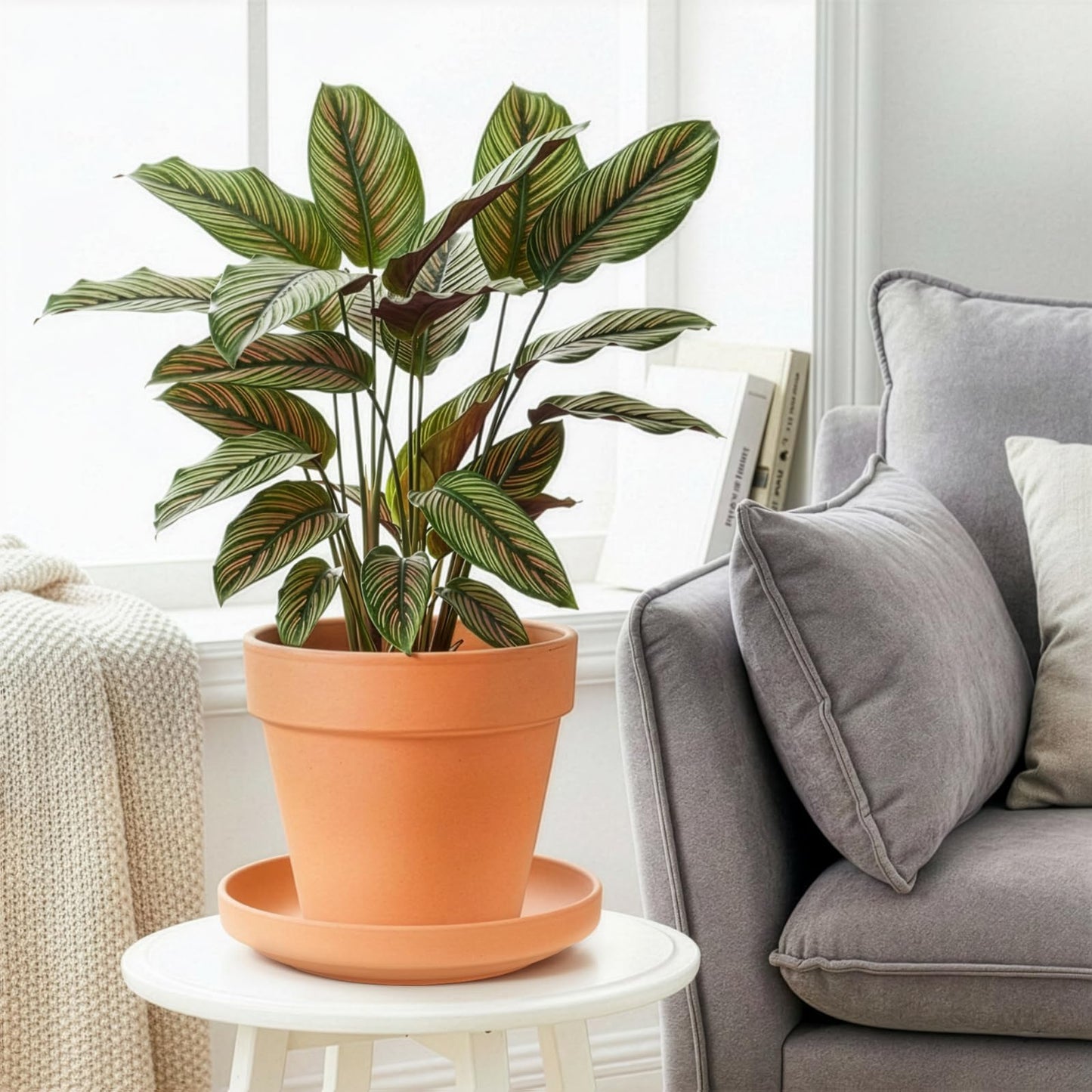 Suwimut 4 Pack Terracotta Plant Saucer Pots Tray, 9 Inch Large Round Planter Saucers for 8 Inch 8.5 Inch 9 Inch Flower Pot with Drainage Hole, Clay Drip Tray for Indoor & Outdoor Plants