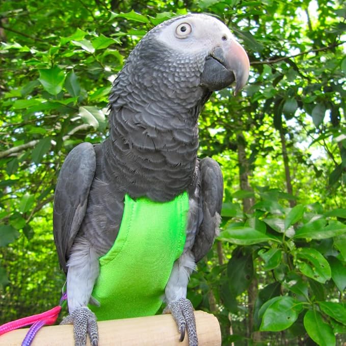 Avian Fashions FeatherWear FlightSuit X-Wide Plus(10) Bird Diaper in Lime Green