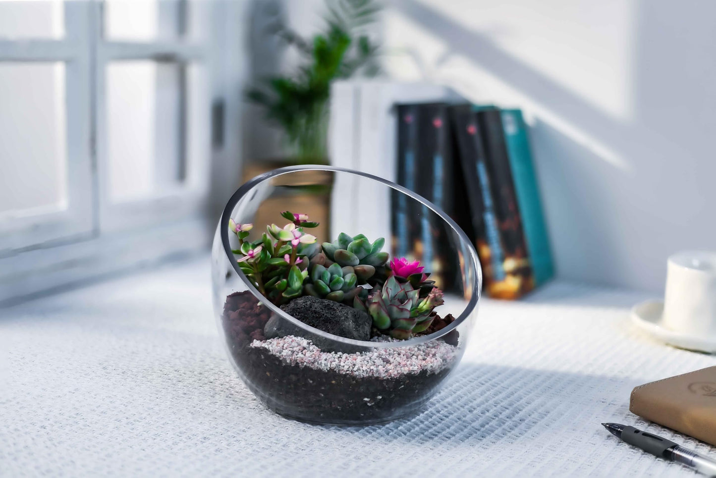 CYS EXCEL Glass Slant Cut Bubble Bowl (H-6" W-7") Clear Flower Vase Globe Bowl Terrarium Round Planter Decorative Centerpiece