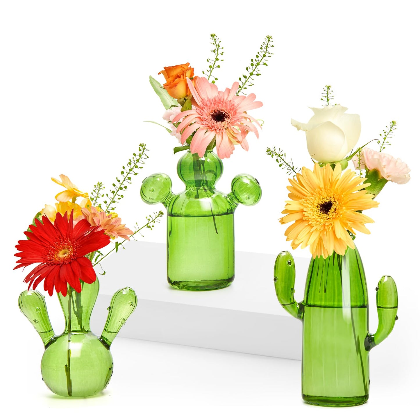 XXXFLOWER Cactus Plant Propagation Station Terrarium Jars for Plant Cuttings Air Plant Holders Unique Glass Flower Vase for Hydroponics Plants for Plant Lovers Home Garden Decor