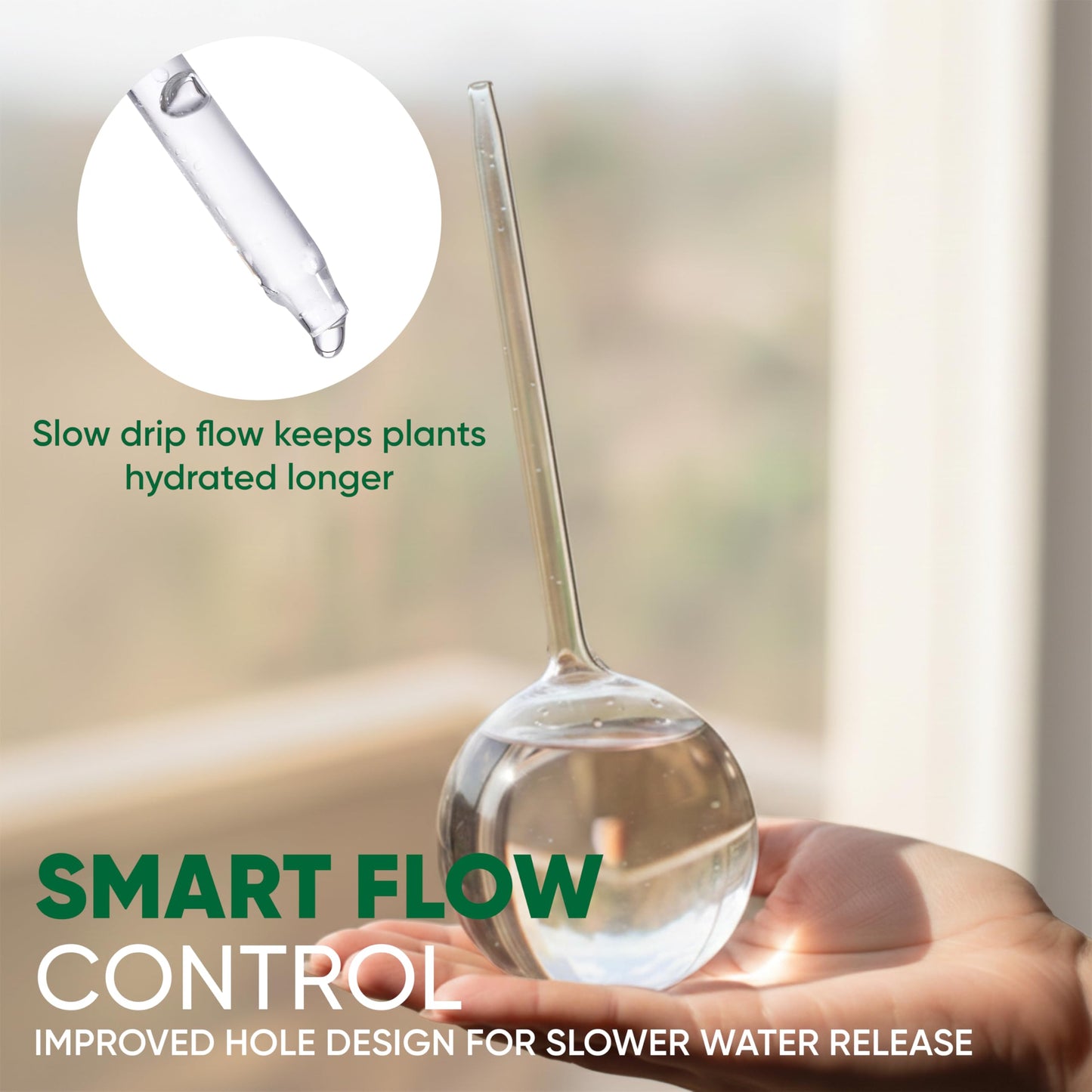 Mission Gallery Clear Plant Watering Globes Set of 6 - Small Self Watering Globes for Indoor & Outdoor Plants - Automatic, Glass Watering Bulbs for Daily Use, Plant Watering Devices